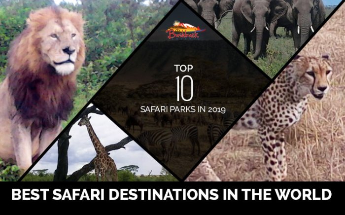 Best Safari Adventure Destinations