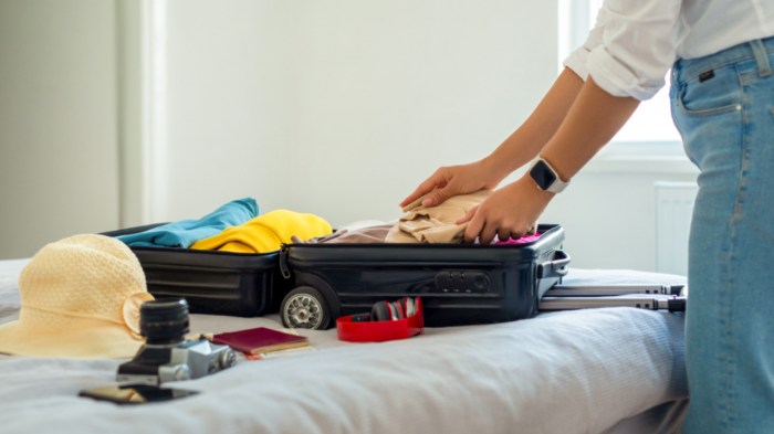 Cruise board packing Cruise board packing